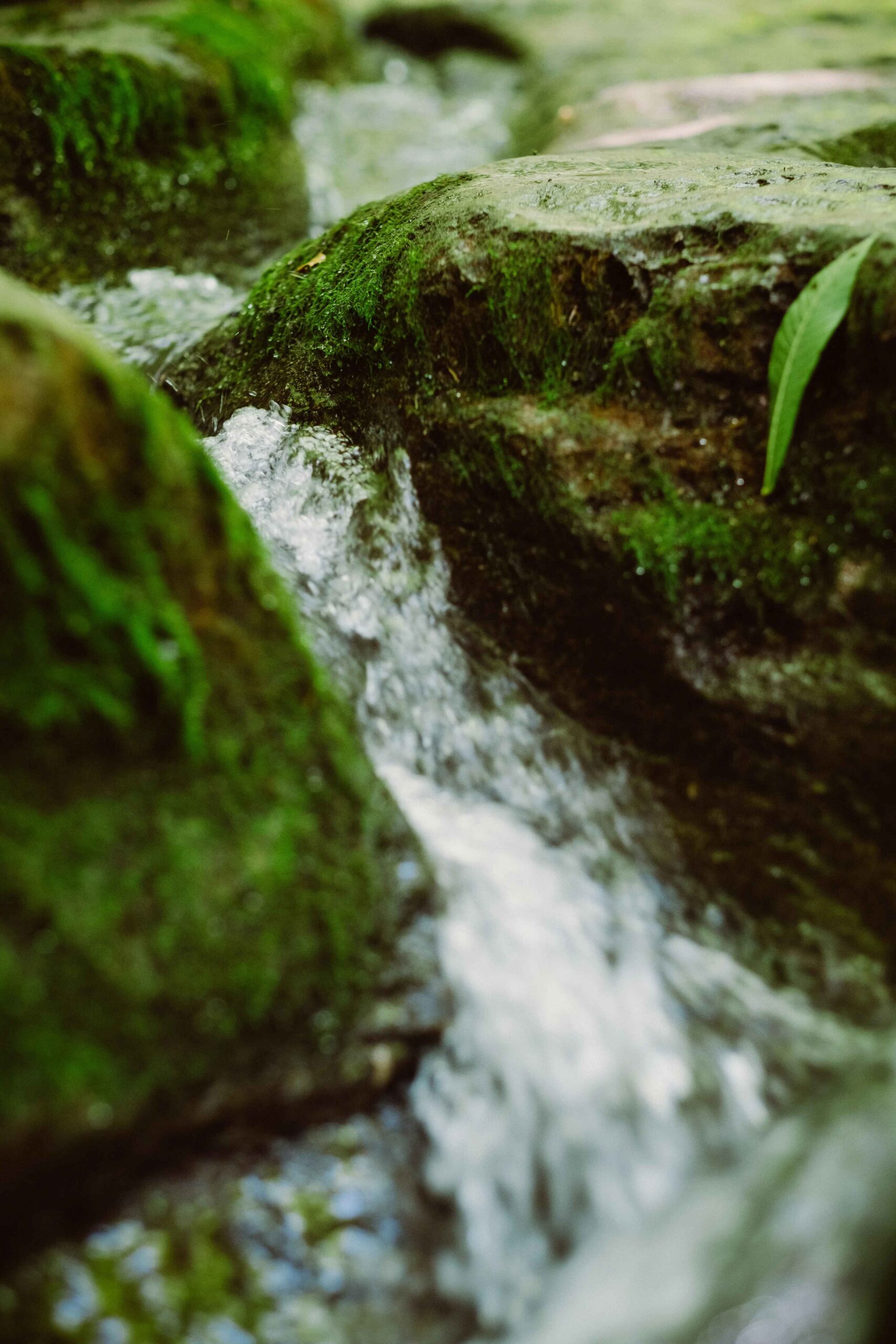 Torrente di Paularo.